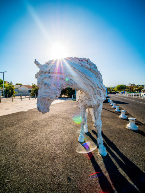 cheval art sculpture blanc soleil antibes