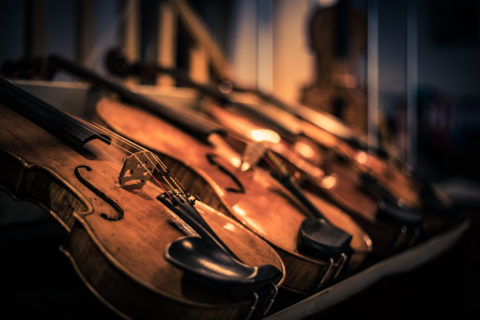 violons création beauté art atelier